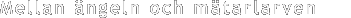 �  Mellan �ngeln och